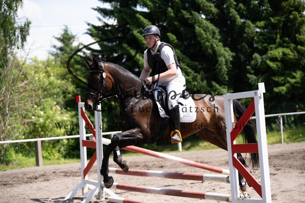 A7V03143 | Pferdefotograf