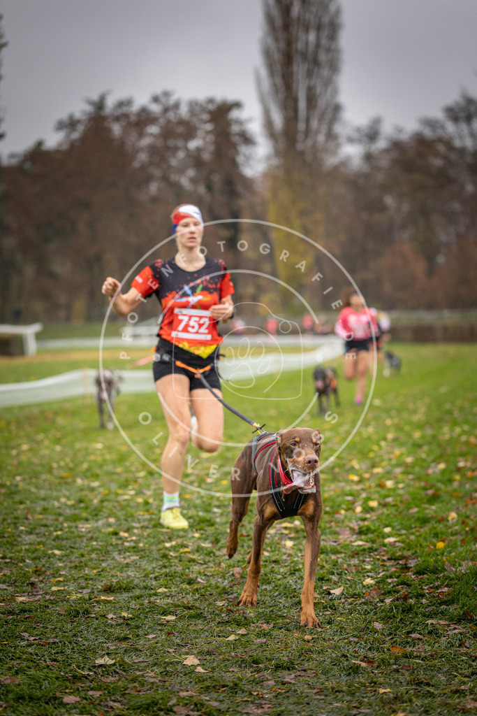 CaniXpix_DV3A9307 | Hundefotografie, Tierfotograf, Pfotenfotografie, Fotoshooting Hund, Hunde Portrait, Hundesport, Hundeportraits, Heideshooting, Hunde, Sportfotograf, Hundefotograf, Turnierhundsport, THS,  - Realisiert mit Pictrs.com
