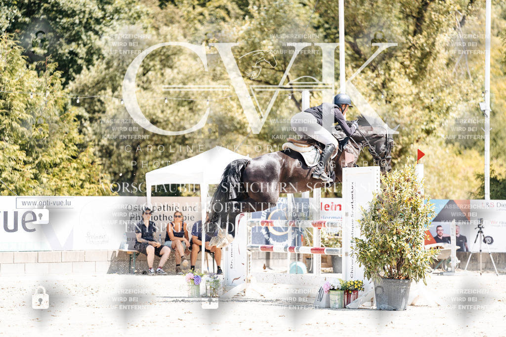 CK900185 | Turnierfotografie Pferdefotografie Trier Rheinland-Pfalz Pferdesport Reitsport Tierfotografie Sportfotografie Pferdevideo Pferdevideografie Equestrianvideography equestrianphotography  - Realisiert mit Pictrs.com