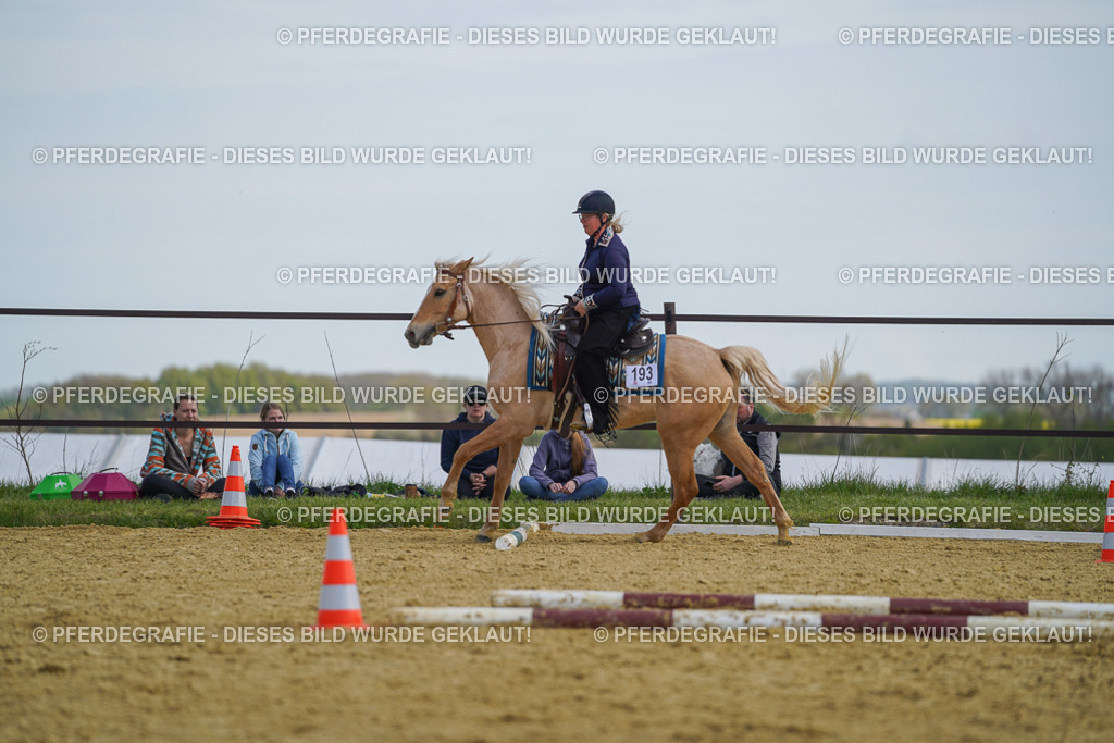 DSC05117 | Pferdegrafie