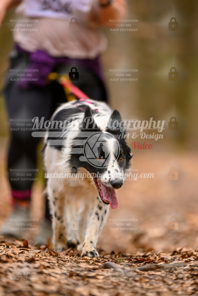 MompixPhotography_Habay2025_SA_CCC-265 | PayLife