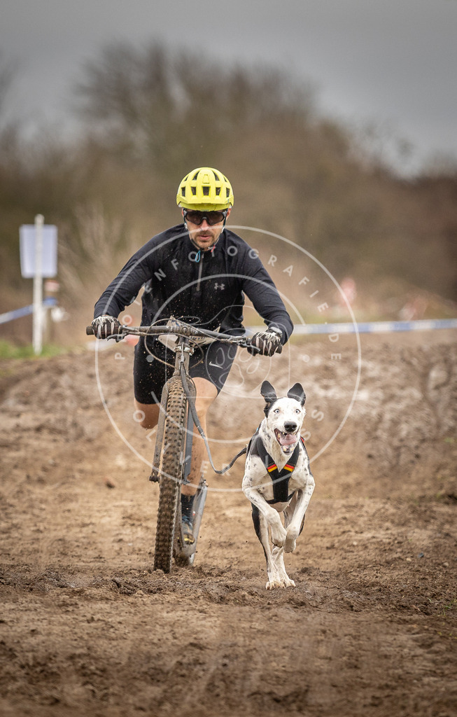 DV3A1309 | Hundefotografie, Tierfotograf, Pfotenfotografie, Fotoshooting Hund, Hunde Portrait, Hundesport, Hundeportraits, Heideshooting, Hunde, Sportfotograf, Hundefotograf, Turnierhundsport, THS,  - Realisiert mit Pictrs.com