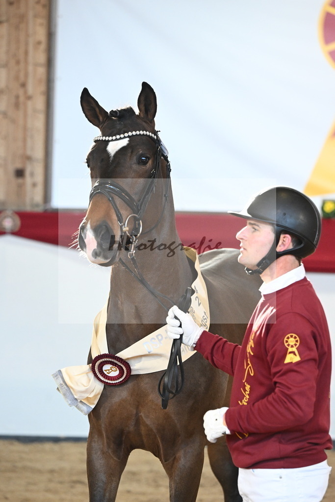 Kat.-Nr. 71 v. Va Bene_Müller_2242645 | hf-fotografie - Realisiert mit Pictrs.com