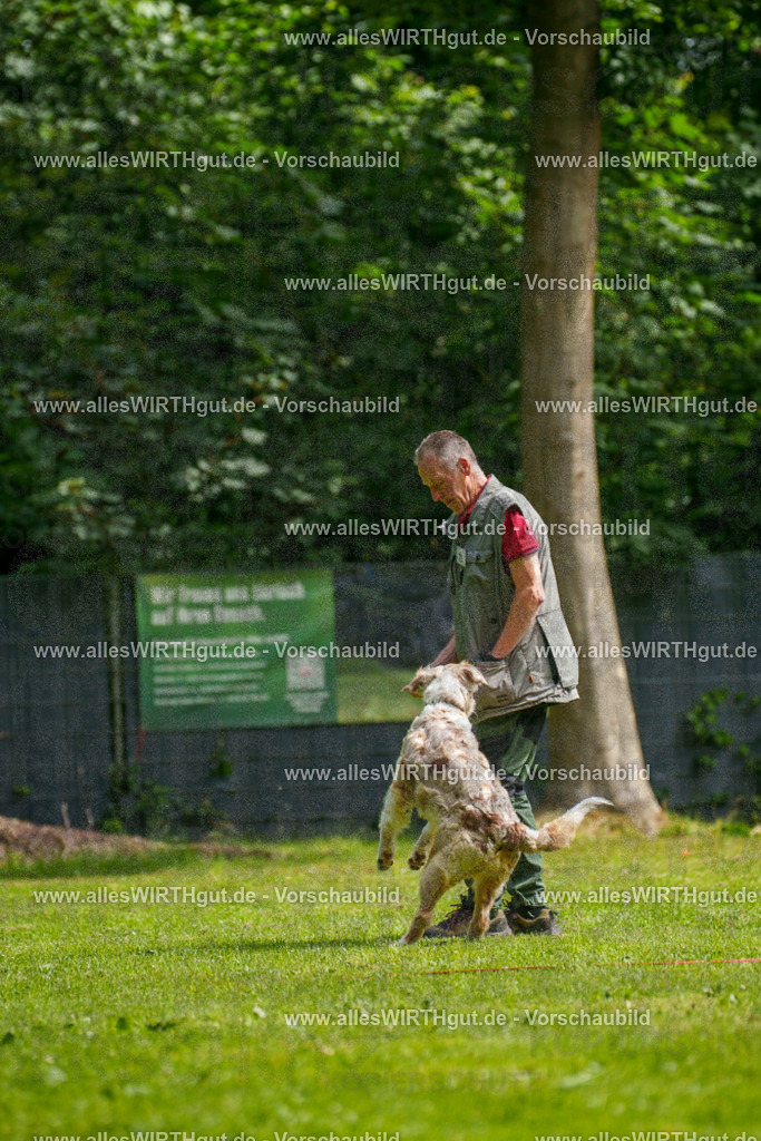 @allesWIRTHgut_Tierfotografie - www.allesWIRTHgut.de - 100234-7R508002 | Professionelle Tierfotografie in Mönchengladbach von Daniel Wirth (allesWIRTHgut). Liebevolle & natürliche Bilder von Hunden & Katzen für unvergessliche Erinnerungen.