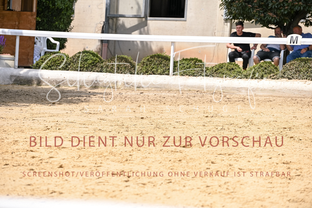 Schugtsche-Aluta25-55.Dressurreiterprf.L1Tr-58 | Schugtsche Fotografie - Realisiert mit Pictrs.com