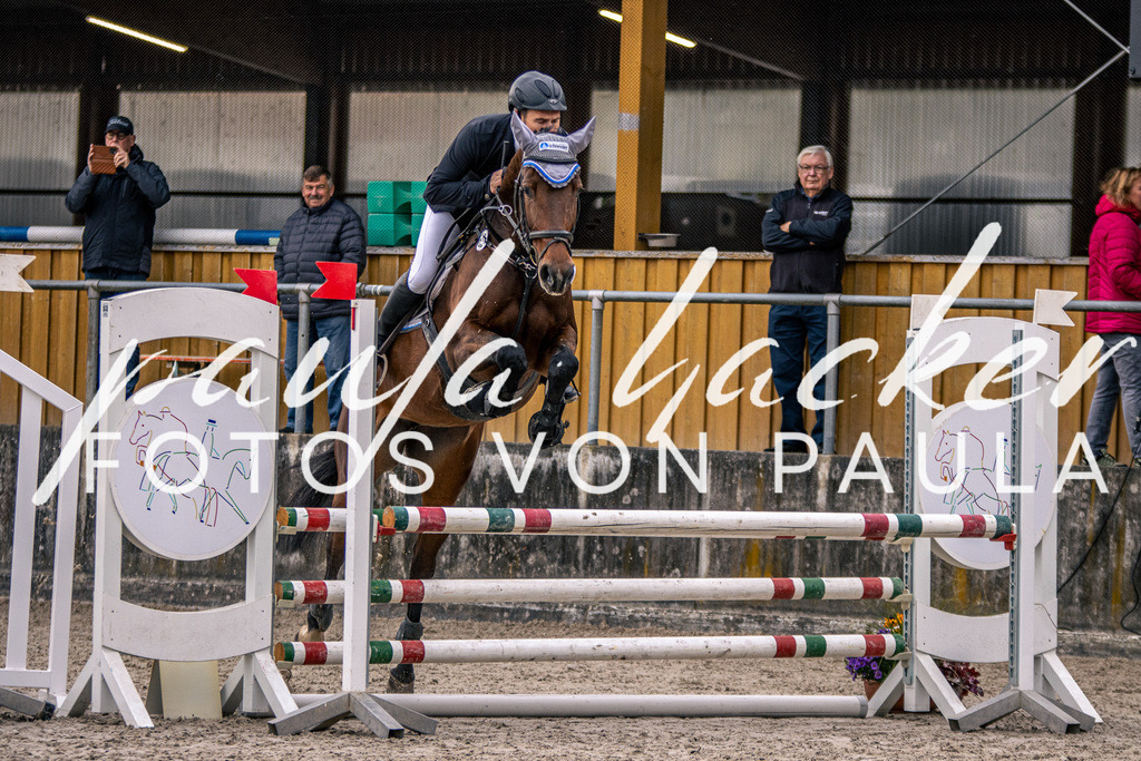 IMG_5128 | Erleben Sie dynamische Sport- und emotionale Tierfotografie in Süddeutschland mit Fotos von Paula. Spezialisiert auf Pferde- und Hundefotografie sowie Sportevents. Kontaktieren Sie mich für einzigartige und ausdrucksstarke Bilder Ihrer besonderen Momente.