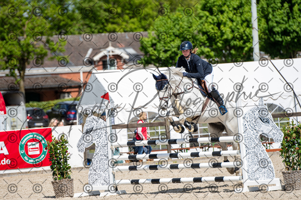 KPT_5219 | andre_photographic