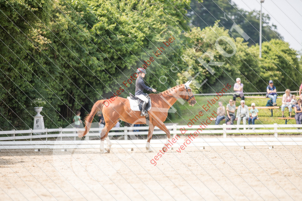 IMG_3384 | Sport-, Event- und Tierfotos in Profiqualität. Einfach auswählen, bestellen und herunterladen. Dein Moment – perfekt festgehalten.