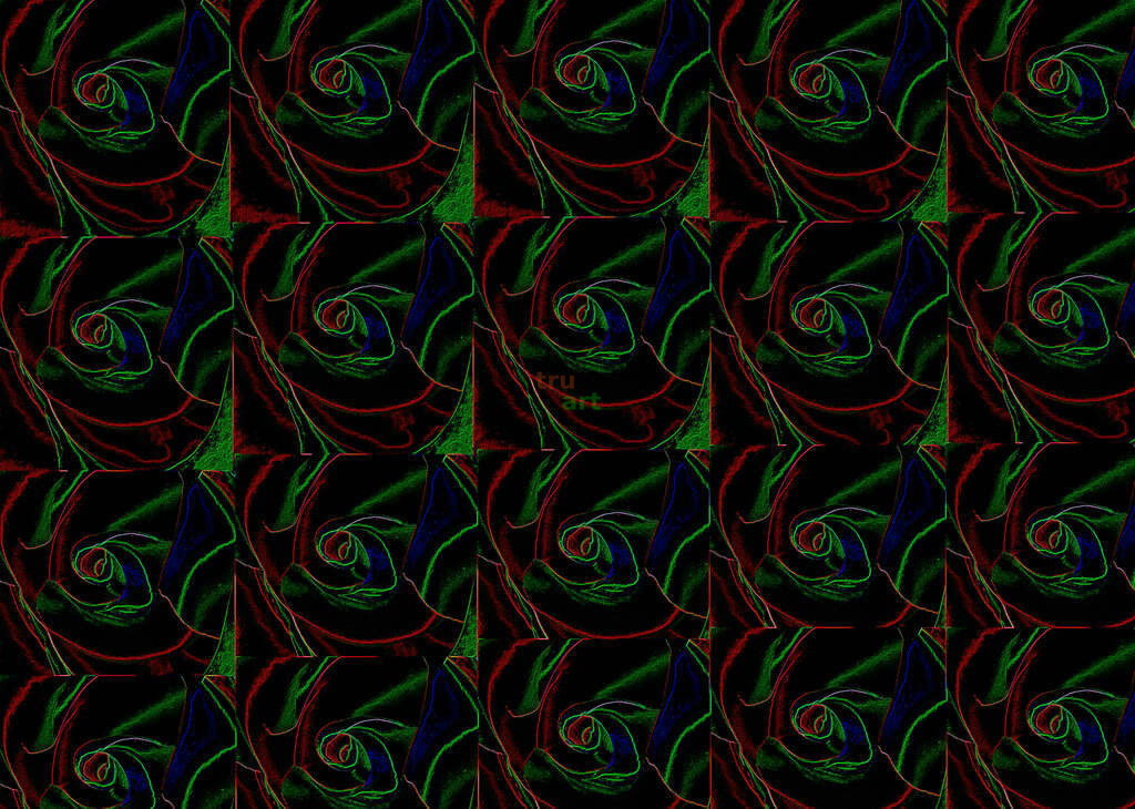 Rosenbild  | Grafik - Realisiert mit Pictrs.com