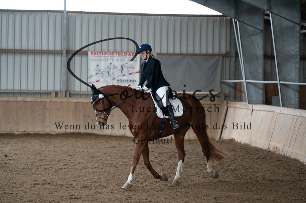 A7V04828 | Pferdefotograf