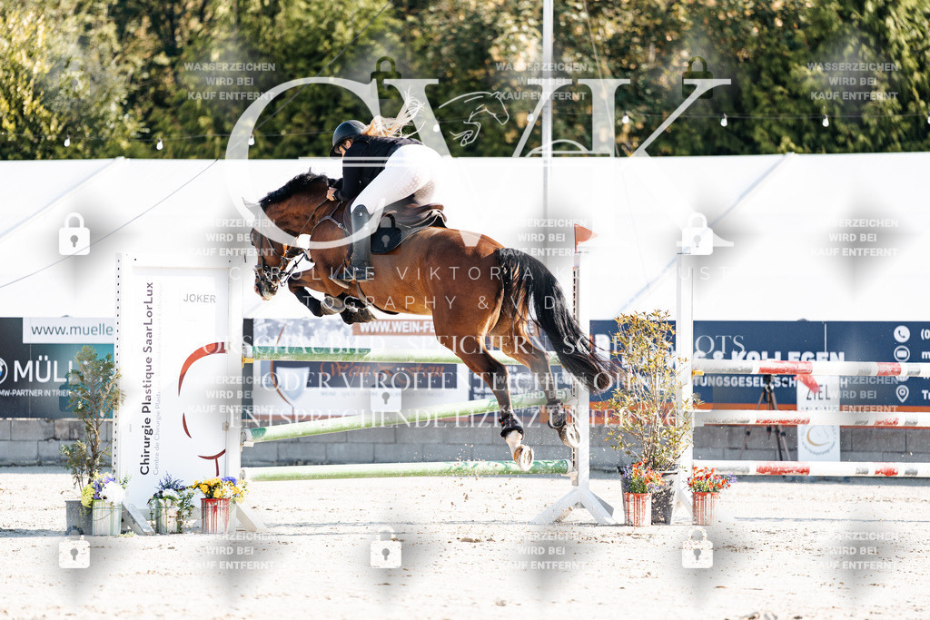 CK901630 | Turnierfotografie Pferdefotografie Trier Rheinland-Pfalz Pferdesport Reitsport Tierfotografie Sportfotografie Pferdevideo Pferdevideografie Equestrianvideography equestrianphotography  - Realisiert mit Pictrs.com