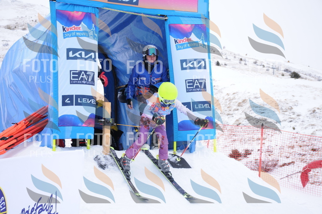 DSC_8009 | holidayphoto