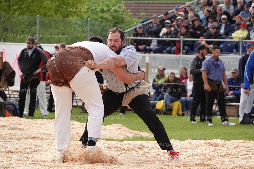 DSC00657 | Schwingen - Realisiert mit Pictrs.com