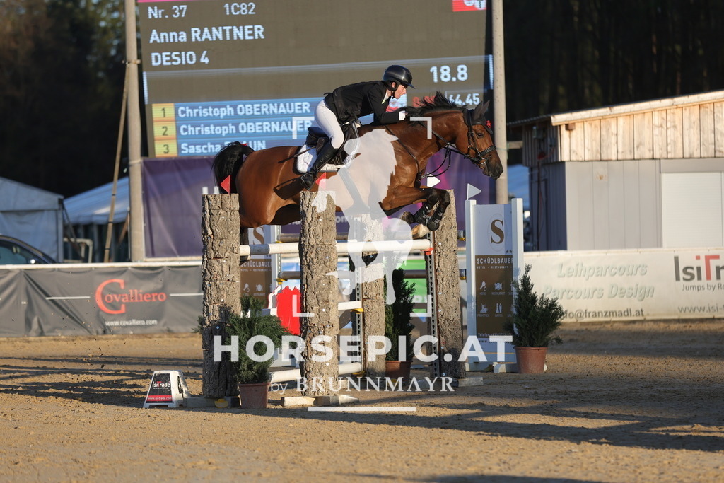 0P6A2659 | Willkommen bei Brunnmayr - Design & Fotografie – Ihrem Spezialisten für Reitturniere und Pferdeveranstaltungen in Oberösterreich, Salzburg und Bayern! Seit über 17 Jahren sind wir leidenschaftlich dabei.