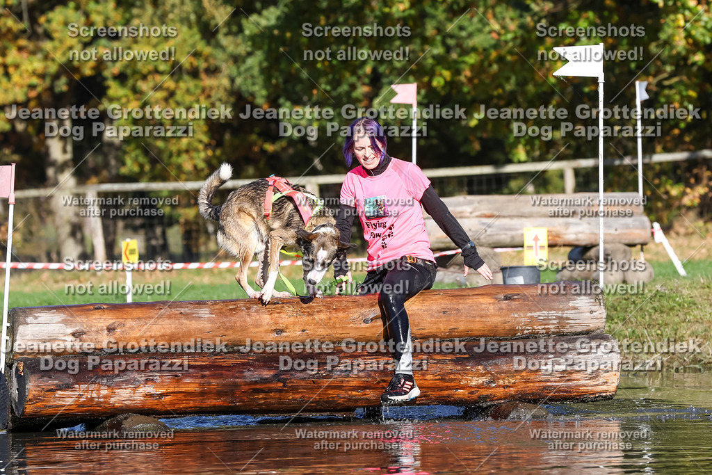 Dog Paparazzi - Strongdog 10-25-8807 | Dog Paparazzi Jeanette Grottendiek Fotografie & Videografie - Realisiert mit Pictrs.com