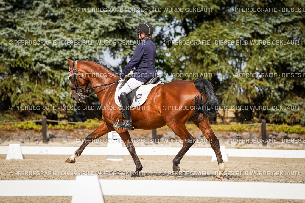 DSC07223 | Pferdegrafie