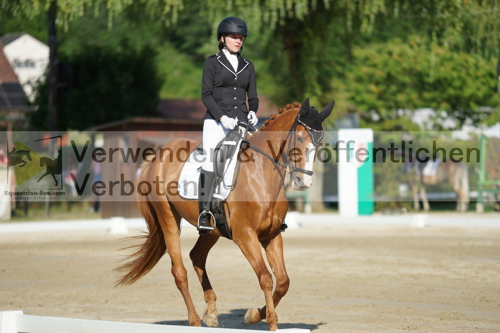 DSC04179 | equestrian-live-com