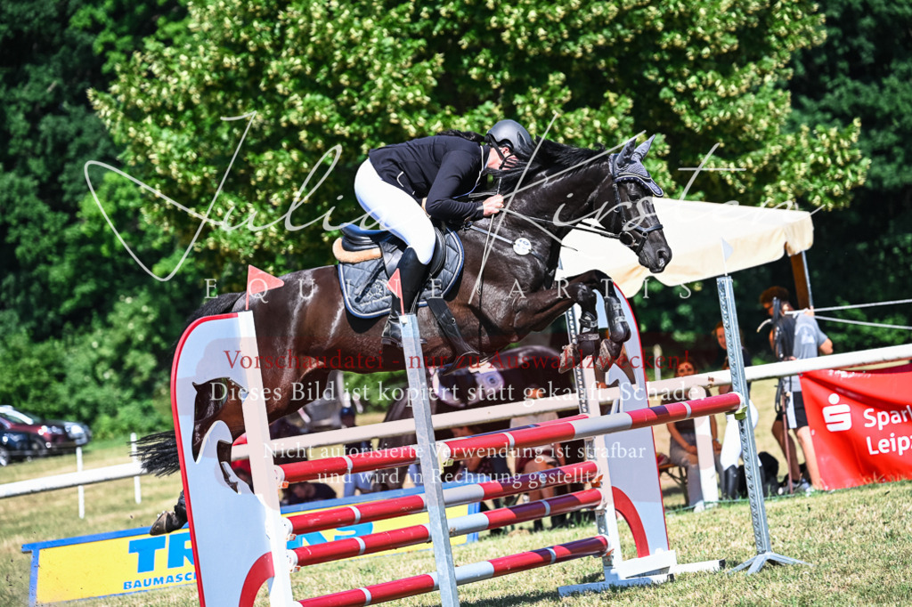 DSC_1641 | Pferde- und Turnierfotografie in Westsachsen. Pferdeportraits, Auftragszeichnungen und intuitive Kunst.