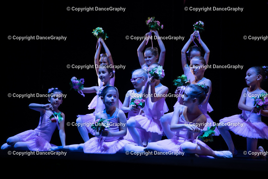 GPHY4880 | DanceGraphy - Realisiert mit Pictrs.com