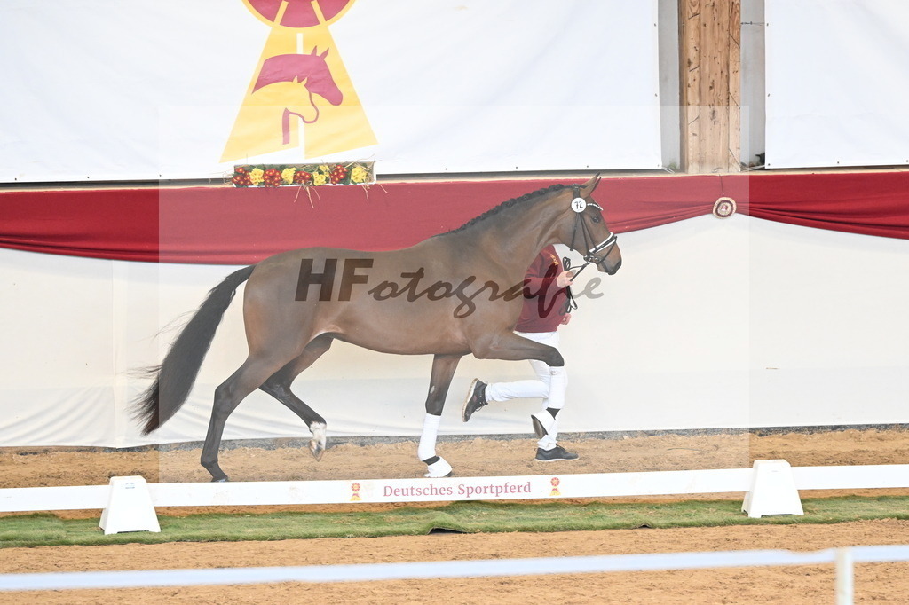 Kat.-Nr. 72 v. Red Viper_Reesink_3260904 | hf-fotografie - Realisiert mit Pictrs.com