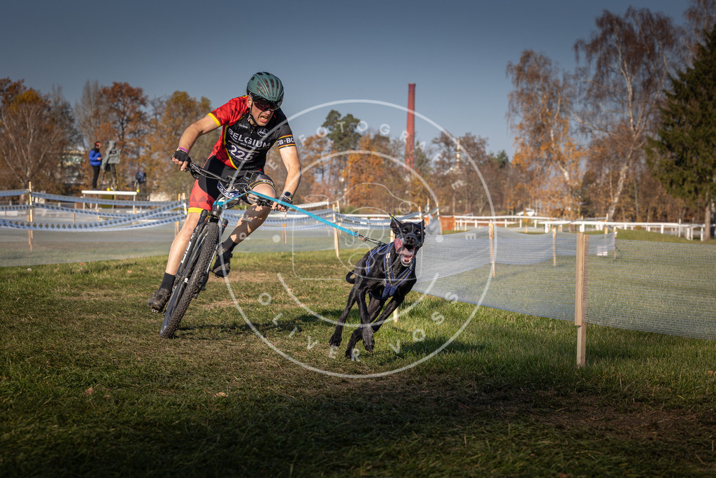 CaniXpix_0L8A6754 | Hundefotografie, Tierfotograf, Pfotenfotografie, Fotoshooting Hund, Hunde Portrait, Hundesport, Hundeportraits, Heideshooting, Hunde, Sportfotograf, Hundefotograf, Turnierhundsport, THS,  - Realisiert mit Pictrs.com