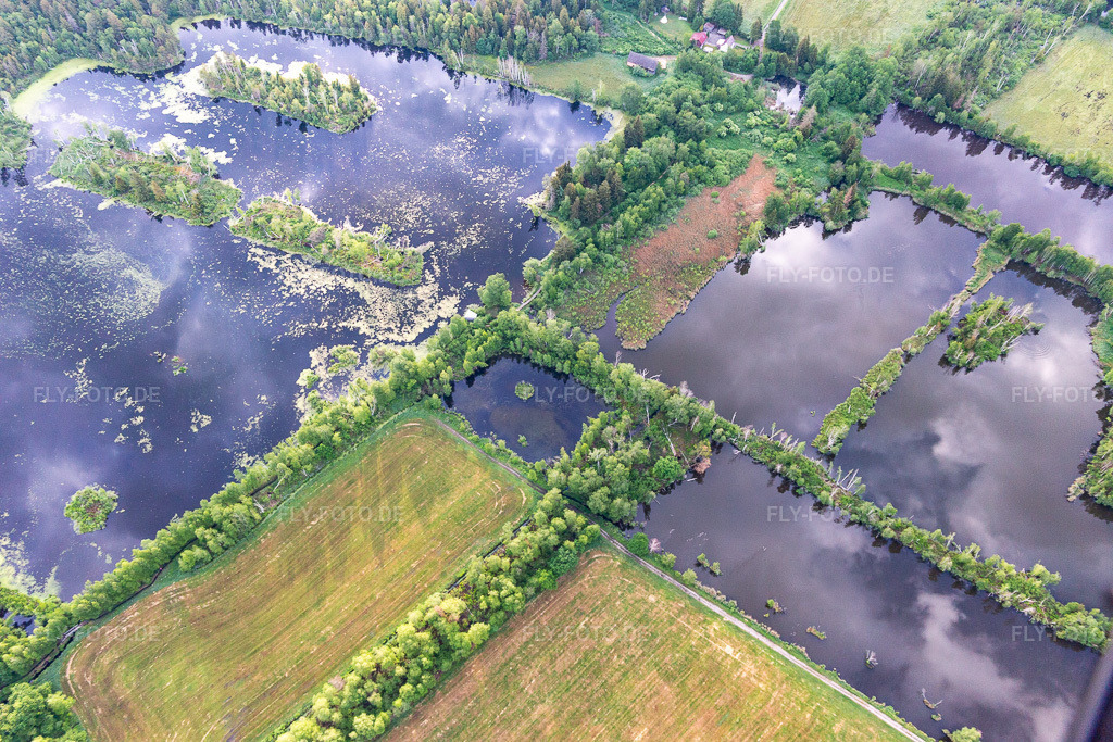 Luftbild: Moorseen Pfrungener- Burgweiler Ried im Ortsteil Pfrungen in Wilhelmsdorf im Bundesland Baden-Württemberg in Deutschland. Foto: IMG_131895.jpg vom 26.05.2022 durch Werner Riehm/FLY-FOTO.deRiedwirtschaft