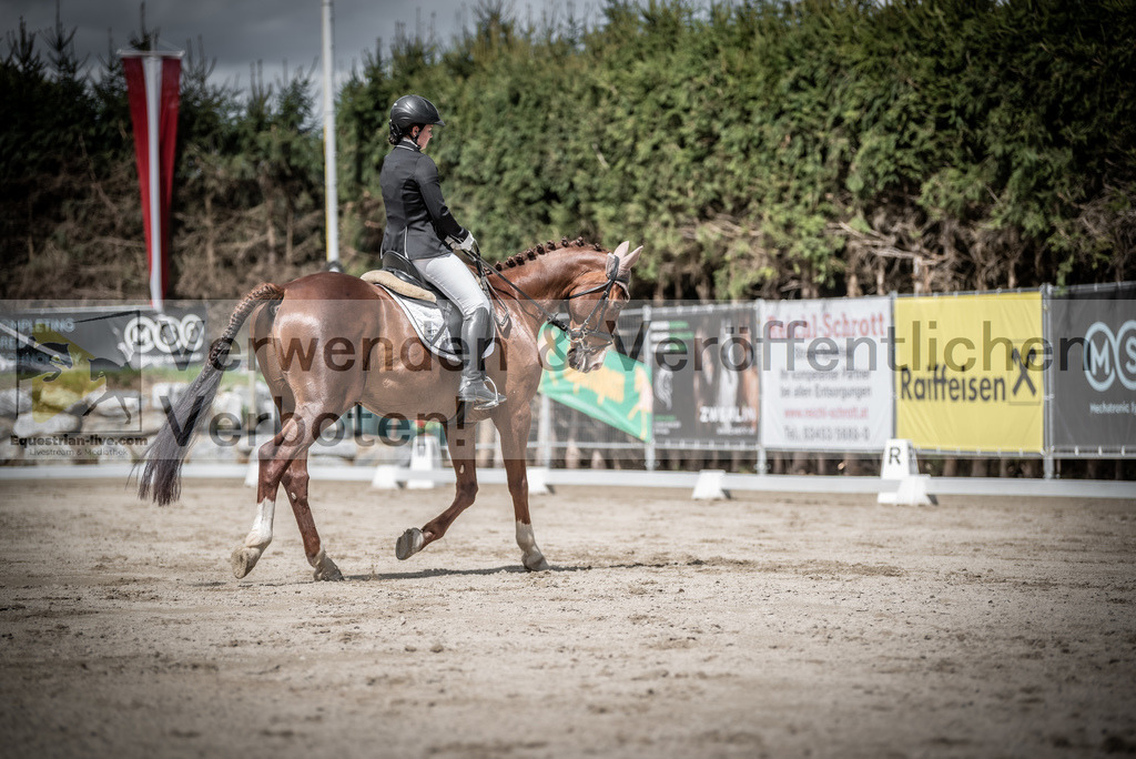 DSC_2984 | equestrian-live-com
