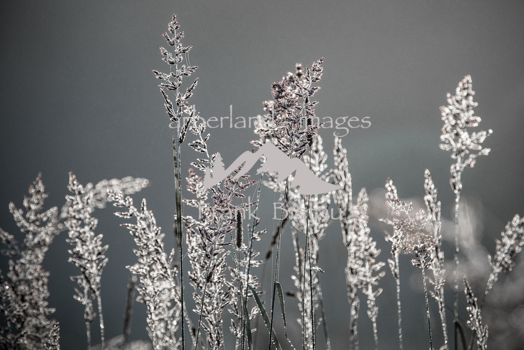 _Z5A6646 | Medien- Sport- Entertainmentfotos