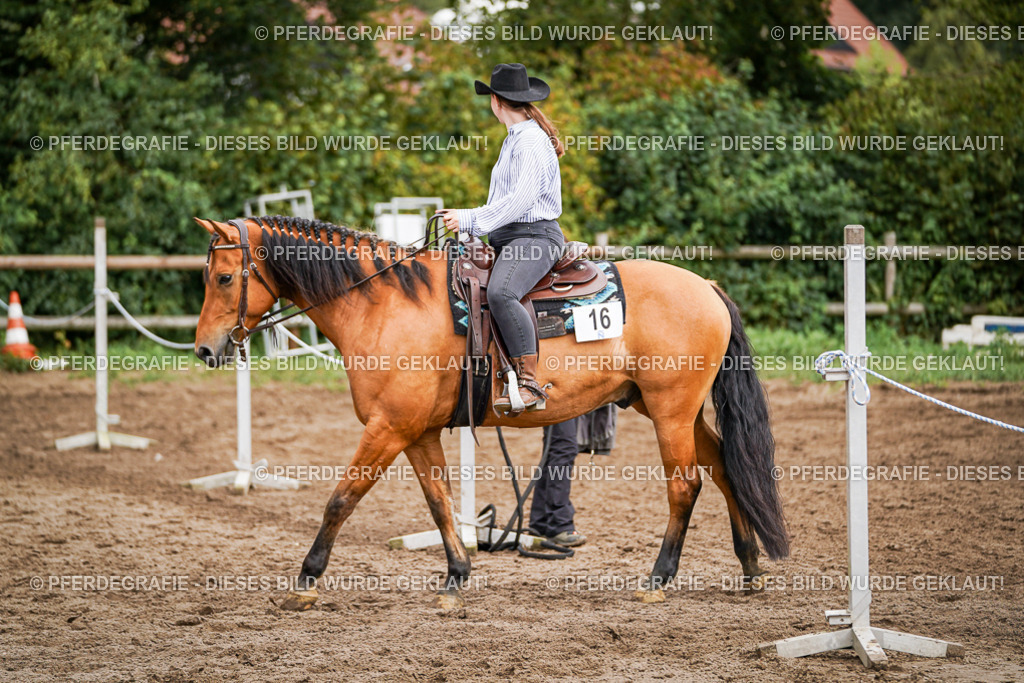 DSC08510 | Pferdegrafie