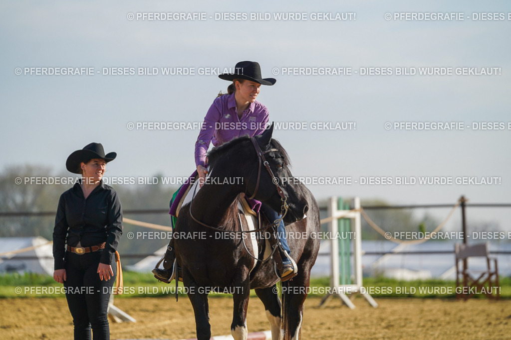 DSC00700 | Pferdegrafie