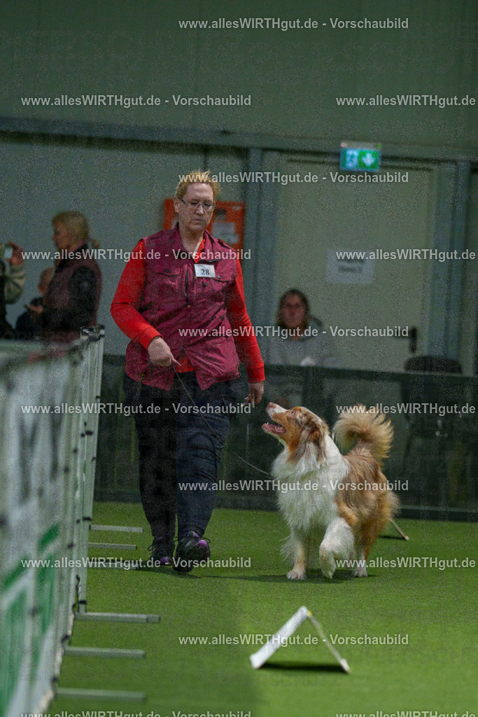 7R505241 | Professionelle Tierfotografie in Mönchengladbach von Daniel Wirth (allesWIRTHgut). Liebevolle & natürliche Bilder von Hunden & Katzen für unvergessliche Erinnerungen.