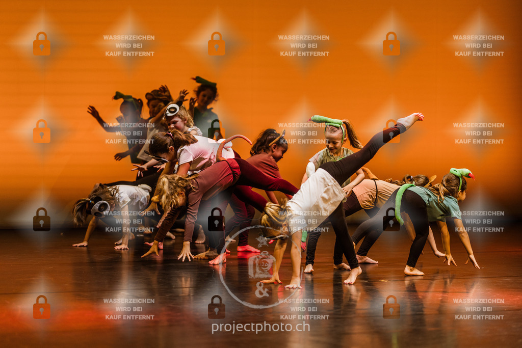 EXPORT_FULL-1-6 | projectphoto - Realisiert mit Pictrs.com