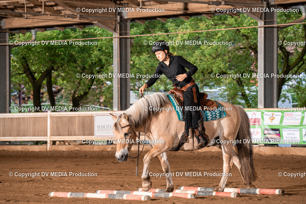 Erbach Tag 4-904 | dv-media-shop - Realisiert mit Pictrs.com