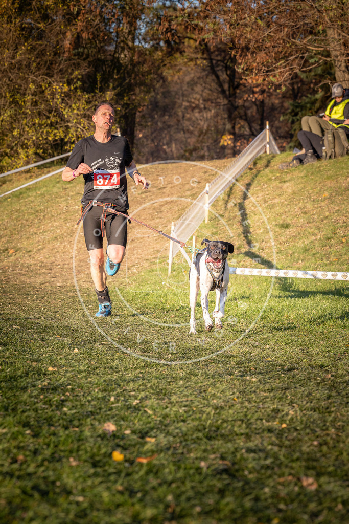 CaniXpix_0L8A1080 | Hundefotografie, Tierfotograf, Pfotenfotografie, Fotoshooting Hund, Hunde Portrait, Hundesport, Hundeportraits, Heideshooting, Hunde, Sportfotograf, Hundefotograf, Turnierhundsport, THS,  - Realisiert mit Pictrs.com
