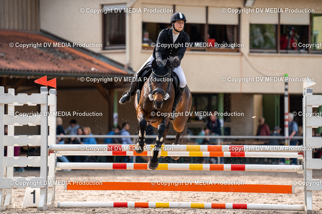 Eppelheim Tag 2-584 | dv-media-shop - Realisiert mit Pictrs.com