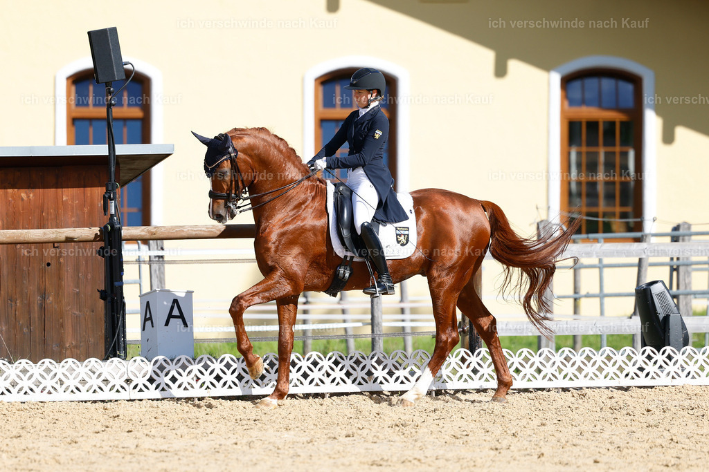 09_2-223-DRESSUR  S_  -StoibPH-5793 | working equitationturnier fotograf videograf stoibphotography marixx film working equitation deutschland reitsport turnierfotografie eventfotografie equestrian events