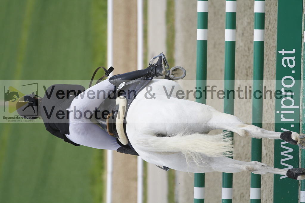 _MG_2216 | equestrian-live-com