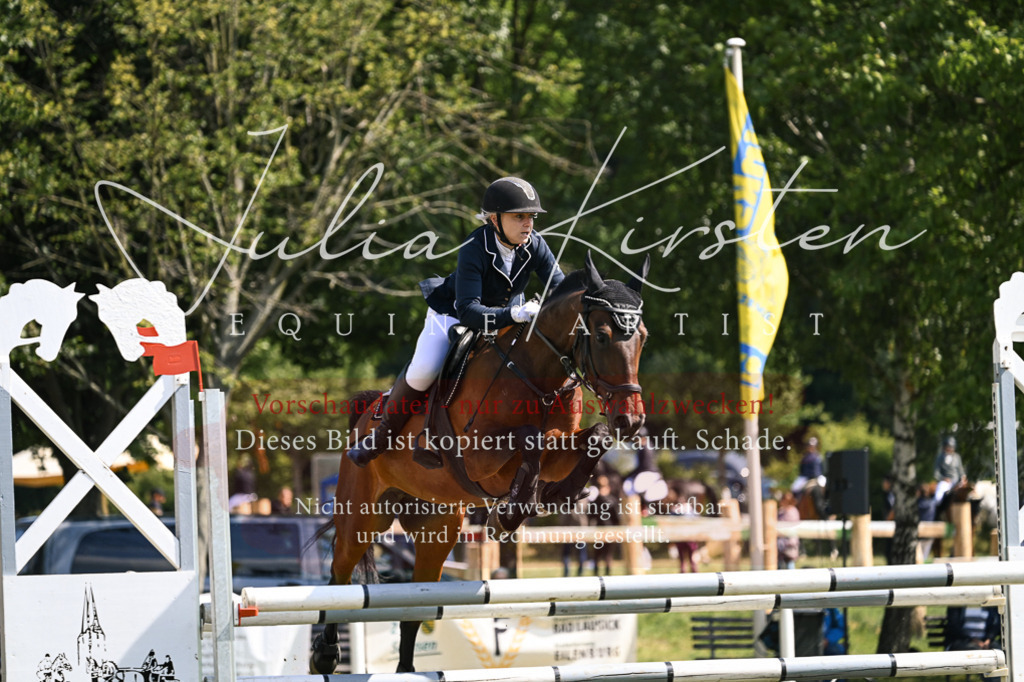 DSC_8921 | Pferde- und Turnierfotografie in Westsachsen. Pferdeportraits, Auftragszeichnungen und intuitive Kunst.