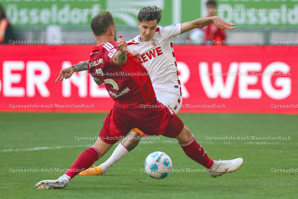 Due21092402135 | 21.09.2024, 2. Fußball Bundesliga, Fortuna Düsseldorf - 1. FC Köln, Merkur Spiel-Arena, Saison 2024 2025:  Denis Huseinbasic (1.FC Köln #8) gegen Andre Hoffmann (Fortuna Düsseldorf #3)DFB regulations prohibit any use of photographs as image sequences and or quasi-video.