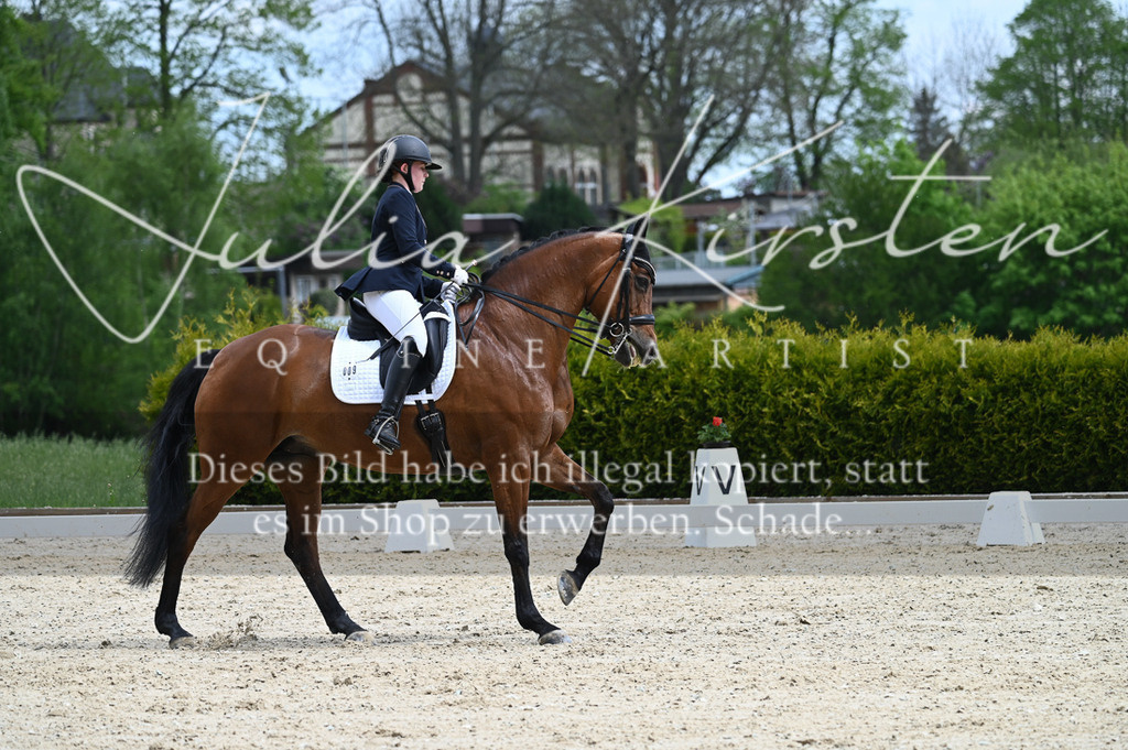 20230512_JK-Röhrsdorf-05-073 | Pferde- und Turnierfotografie in Westsachsen. Pferdeportraits, Auftragszeichnungen und intuitive Kunst.