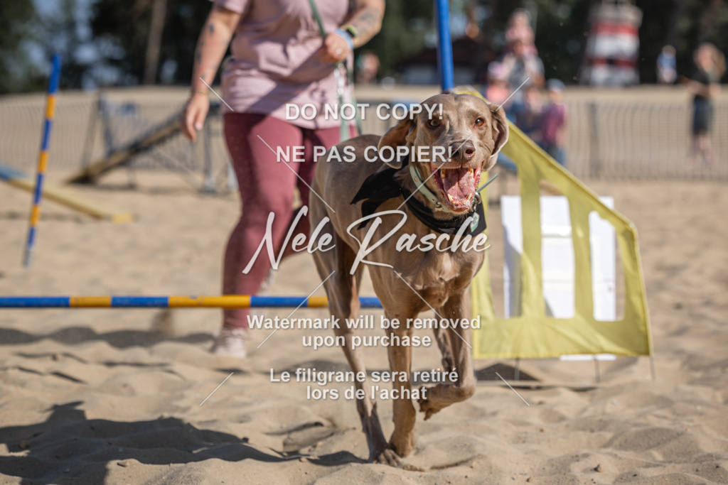 nelerasche_saBeachility_130 | nelerasche