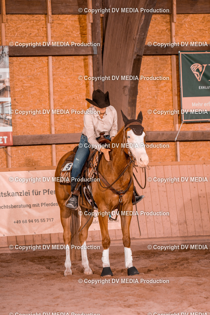 NE300560 | dv-media-shop - Realisiert mit Pictrs.com