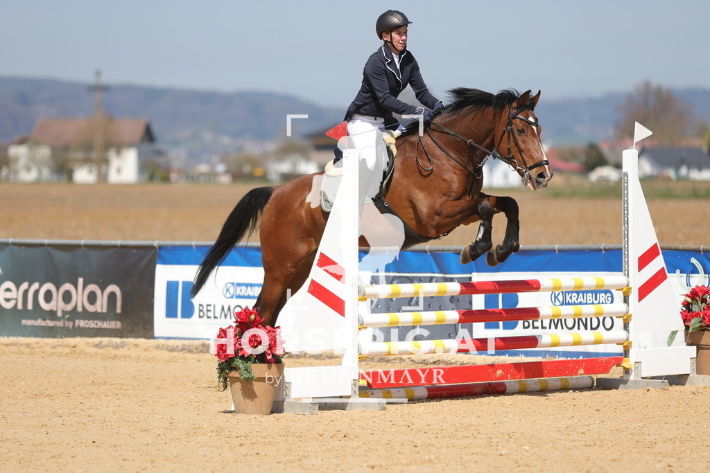 0P6A0403 | Willkommen bei Brunnmayr - Design & Fotografie – Ihrem Spezialisten für Reitturniere und Pferdeveranstaltungen in Oberösterreich, Salzburg und Bayern! Seit über 17 Jahren sind wir leidenschaftlich dabei.