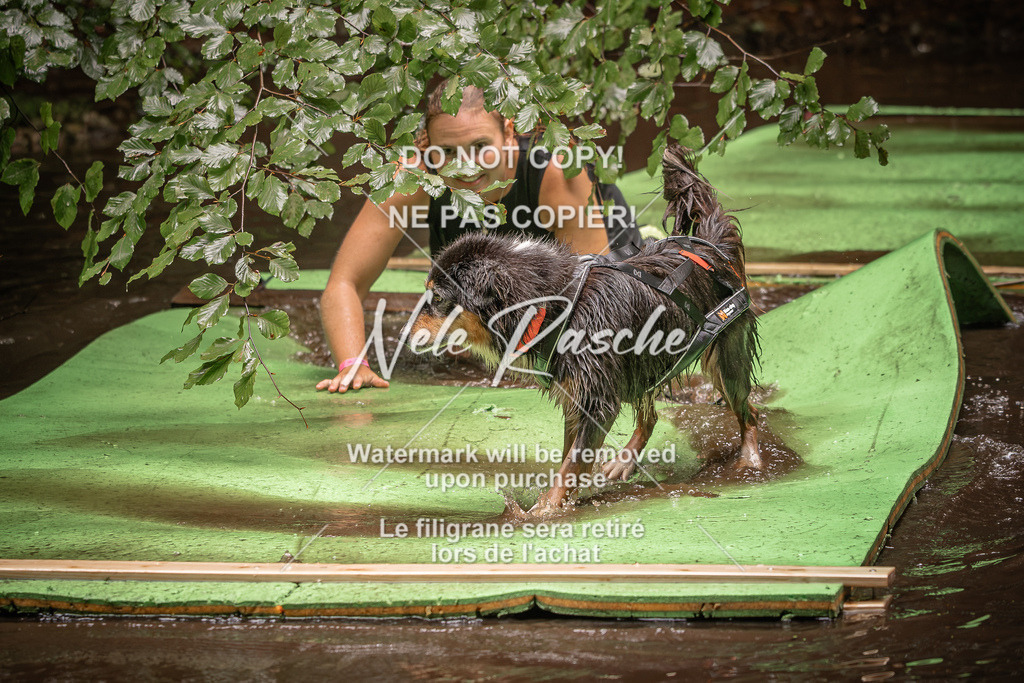 nelerasche_Wingst_Sa1330-1400_343 | nelerasche