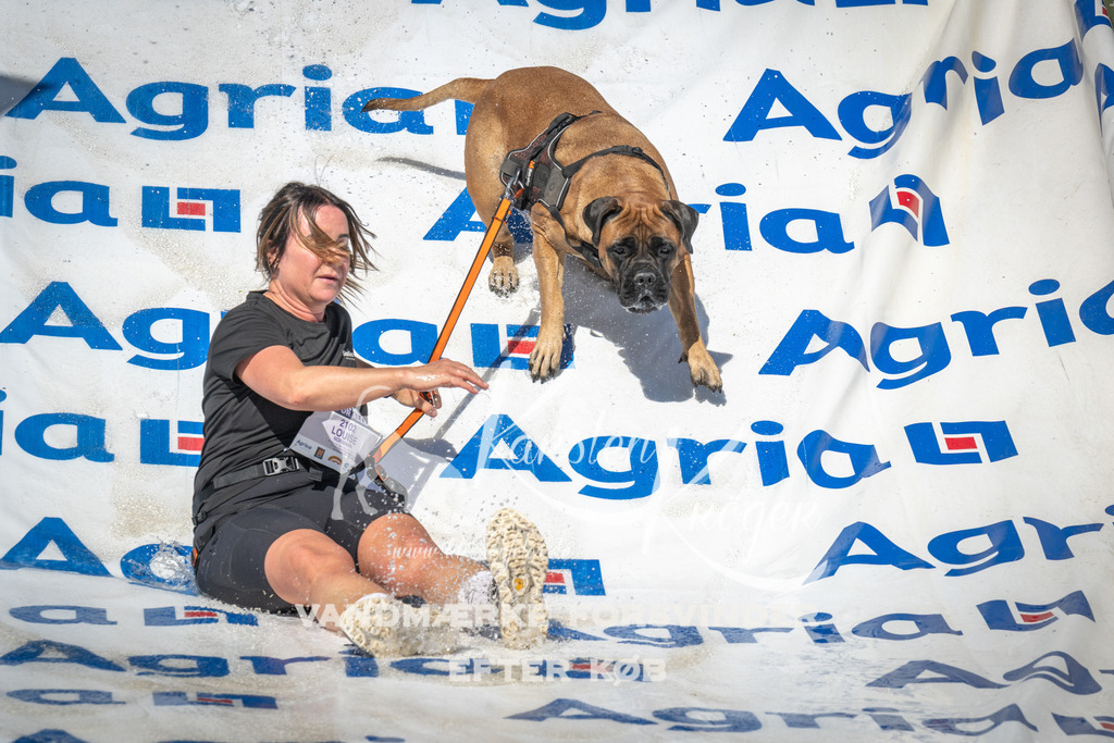 1600_ZZ98053 | kk-dogfotos