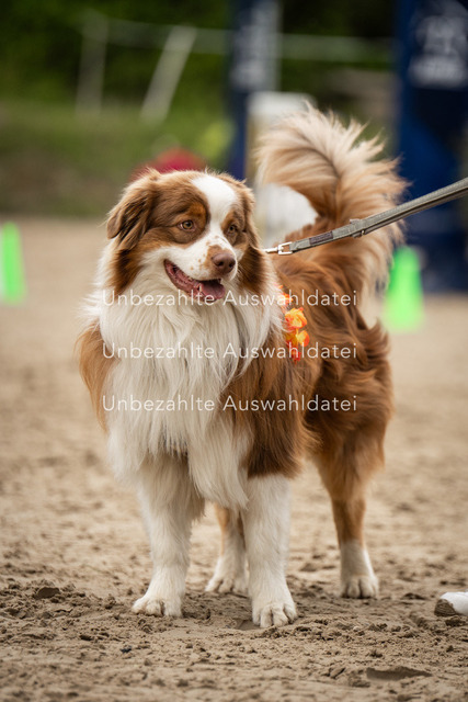 Bad_Meinberg_01098 | saradresslerfotografie - Realisiert mit Pictrs.com