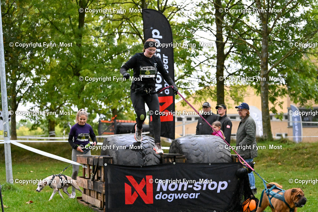 DSC_2207 | Hallo und herzlich Willkommen auf meiner Shop-Seite Fynn Most.

Ich wünsche Dir viel Spaß beim stöbern durch die Bilder, wenn Du Fragen hast oder Bilder vermisst, kannst du mir gerne eine Nachricht schreiben. - Realisiert mit Pictrs.com