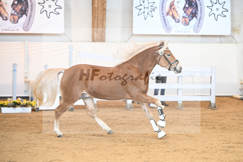 Kat-Nr. 19 v. Amari_Reisberger_2230333 | hf-fotografie - Realisiert mit Pictrs.com
