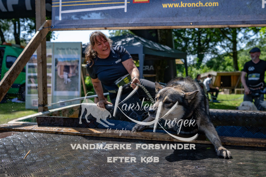 1251_ZZ90114 | kk-dogfotos