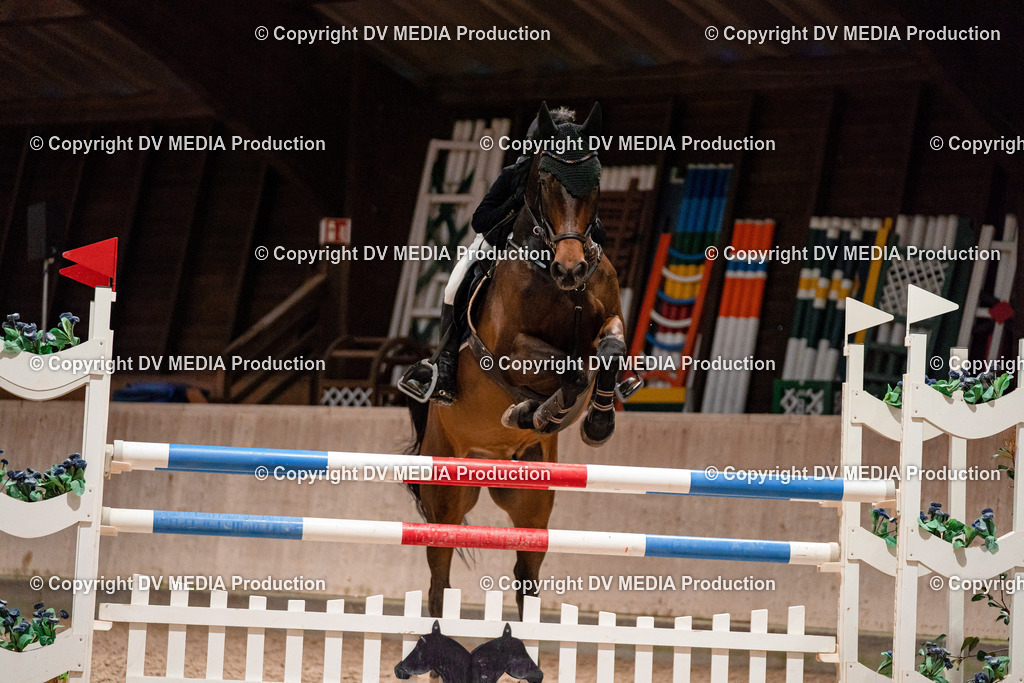 Springen Tag 2-834 | dv-media-shop - Realisiert mit Pictrs.com